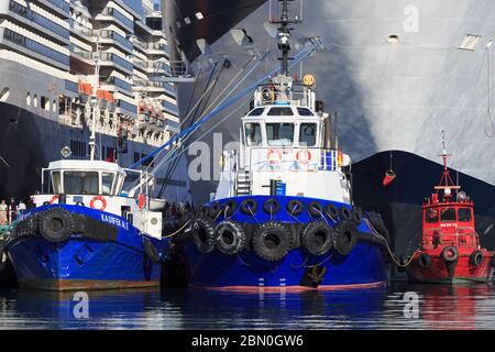 Barche a vela a Porto di Kusadasi,Aydin,Provincia,Turchia,Mediterraneo Foto Stock