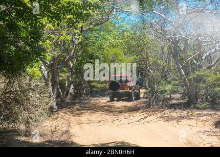 Safari in jeep su strade polverose, Oronjia Reserve, Antsiranana, Diego Suarez, Madagascar, Oceano Indiano Foto Stock