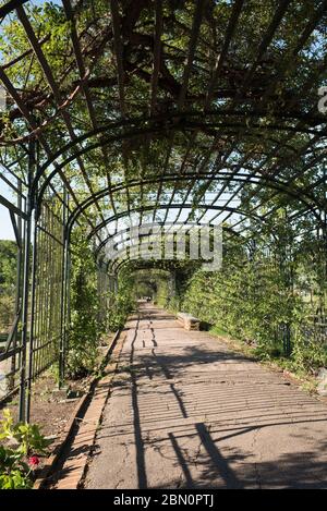 Montevideo / Uruguay, 29 dicembre 2018: Sentiero del giardino botanico, circondato da piante, un pomeriggio estivo Foto Stock