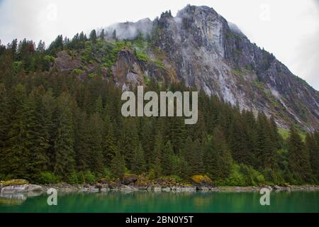 Fords terror, Tongass National Forest, Alaska. Foto Stock