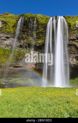 Cascata Seljalandsfoss situata nella regione meridionale dell'Islanda Foto Stock