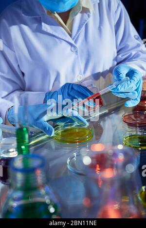Immagine ravvicinata dei tecnici di laboratorio che mettono i reagenti in piastre Petri con liquidi colorati Foto Stock