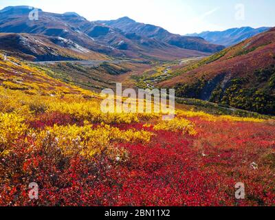 Colori autunnali lungo la Dalton Highway, Brooks Range, Alaska. Foto Stock