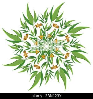 Natura astratta ornamento rotondo, modello mandala. Motivo floreale circolare di eucalipto, motivo isolato su sfondo bianco Illustrazione Vettoriale