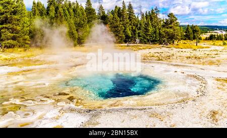 Il geyser spasmodico color turchese nel bacino del Geyser superiore lungo il Continental divide Trail nel Parco Nazionale di Yellowstone, Wyoming, USA Foto Stock