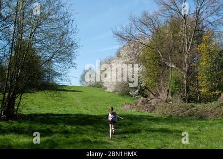 Sheffield UK – aprile 15 2020: Corsa libera – la giovane esubera nello spazio per correre ogni giorno durante la passeggiata per l'esercizio fisico durante la pandemia del coronavirus Covid-19 Foto Stock