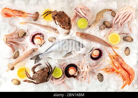 Pesce e frutti di mare varietà piatto, sparato dall'alto su uno sfondo bianco, su ghiaccio, con limoni e lime Foto Stock