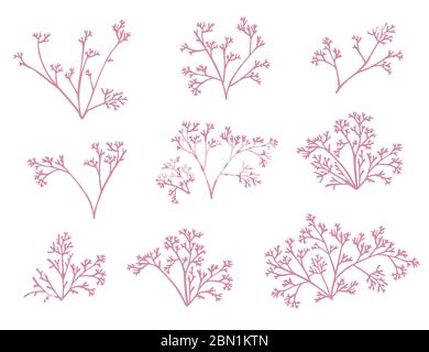 Set di alghe di corallo rosa silhouette vettoriale piatto illustrazione isolato su sfondo bianco Illustrazione Vettoriale