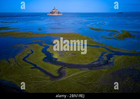 Francia, Normandia, dipartimento della Manica, Baia di Mont Saint-Michel Patrimonio Mondiale dell'UNESCO, Abbazia di Mont Saint-Michel Foto Stock