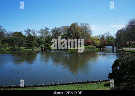 Giardino parco organizzato in stile giapponese zen presso il giardino botanico Foto Stock