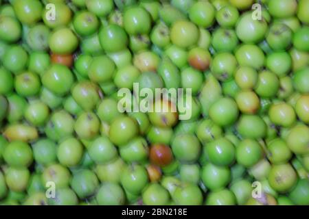 tema di sfondo di frutta verde di jujube disfocusa Foto Stock