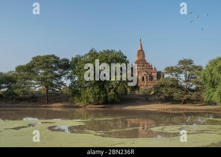 Templi, Bagan, Myanmar Foto Stock