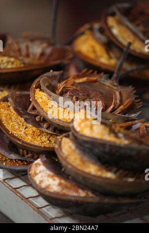 Granchi a ferro di cavallo nel ristorante, Thailandia Foto Stock