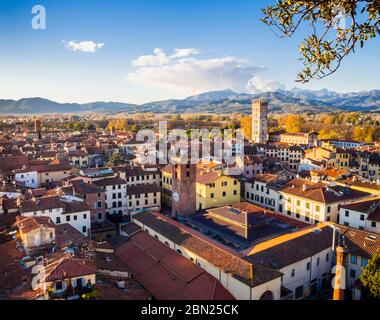 Vista panoramica sulla città medievale di Lucca con tipici tetti in cotto e stradine strette, Toscana, Italia Foto Stock
