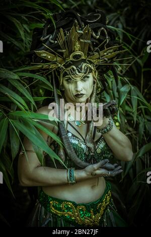 Immagini di medusa nella sua giungla. Ti senti entrare? Foto Stock