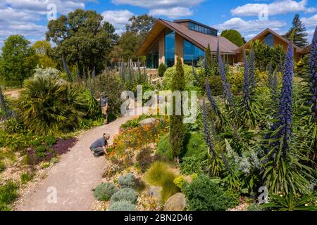 Gli studenti di orticoltura Karen Hobbs, davanti, e Emma Willy, indietro, continuano a mantenere i giardini al RHS Hyde Hall Gardens a Chelmsford, Essex. Foto Stock