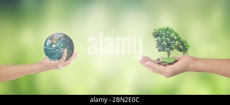 Concetto di ambiente del mondo: Mano umana che tiene terra globale e albero su sfondo verde bokeh. Elementi di questa immagine forniti dalla NASA Foto Stock