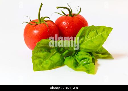 Due pomodori rossi maturi con un fresco rametto di basilico verde isolato su bianco. Foto Stock