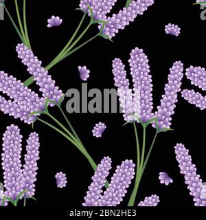 Fiore lavanda senza cuciture su sfondo nero. Illustrazione vettoriale. Illustrazione Vettoriale
