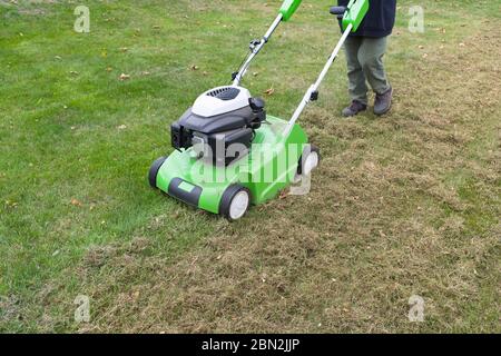 Prato scarificatore. Persona che dethatching muschio in un cortile, manutenzione prato, Regno Unito Foto Stock