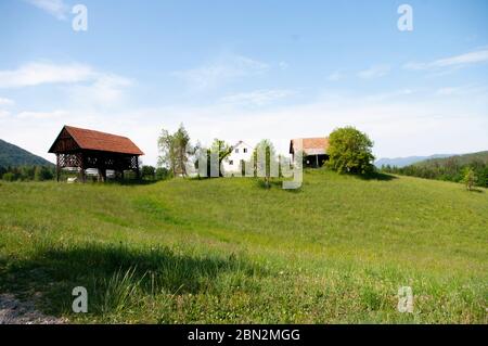 Fienile di legno e vecchia casa su campo verde. Foto Stock