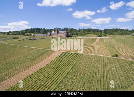 12 maggio 2020, Hessen, Rüdesheim am Rhein: Vigneti circondano l'abbazia di St. Hildegard nel Rheingau (vista aerea con un drone). Nei prossimi giorni, il tempo dovrebbe mostrare di nuovo il suo lato estivo con temperature superiori a 20 gradi Celsius. Foto: Boris Roessler/dpa/Boris Roessler/dpa Foto Stock