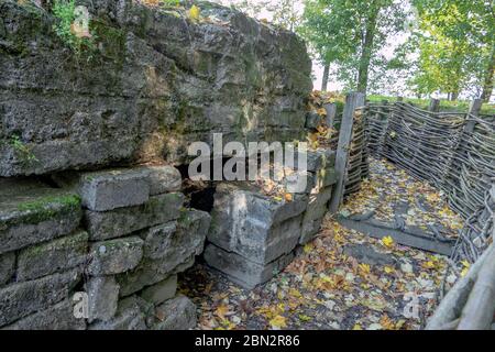 Un sistema di trincee e bunker dell'esercito tedesco utilizzato durante la prima guerra mondiale a Bayernwald (Bayern Wood) vicino a Ypres, Belgio. Foto Stock