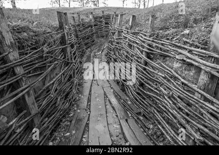 Un sistema di trincee e bunker dell'esercito tedesco utilizzato durante la prima guerra mondiale a Bayernwald (Bayern Wood) vicino a Ypres, Belgio. Foto Stock