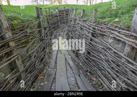 Un sistema di trincee e bunker dell'esercito tedesco utilizzato durante la prima guerra mondiale a Bayernwald (Bayern Wood) vicino a Ypres, Belgio. Foto Stock