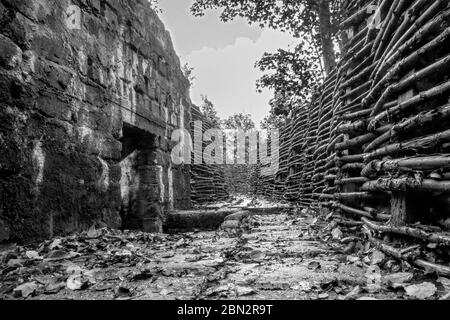 Un sistema di trincee e bunker dell'esercito tedesco utilizzato durante la prima guerra mondiale a Bayernwald (Bayern Wood) vicino a Ypres, Belgio. Foto Stock