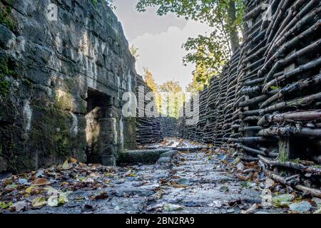 Un sistema di trincee e bunker dell'esercito tedesco utilizzato durante la prima guerra mondiale a Bayernwald (Bayern Wood) vicino a Ypres, Belgio. Foto Stock