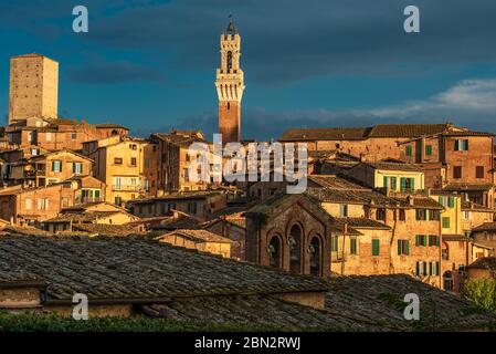 Una vista nel tardo pomeriggio del centro storico di Siena con il campanile sullo sfondo Foto Stock