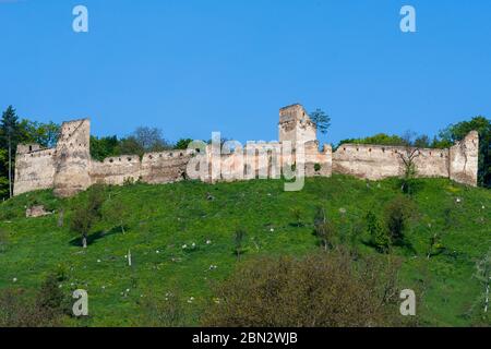 Rovine della fortezza sassone fortificata medievale nel villaggio di Saschiz vicino Sighisoara, Transilvania, Romania costruita dall'etnia tedesca Sassonia transilvaniana Foto Stock