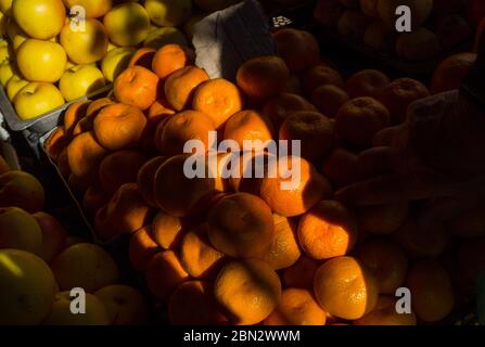 Tangerini in una striscia di luce del sole sul banco del mercato cittadino. Foto Stock