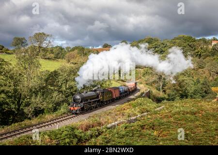 BR 'B1' 4-6-0 No. 1264 trasporta un breve trasporto verso Goathland sulla North Yorkshire Moors Railway durante il suo gala a vapore autunnale Foto Stock