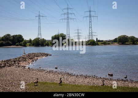 Linee elettriche sul Reno da Leverkusen-Rheindorf a Colonia-Rheinkassel, Renania settentrionale-Vestfalia, Germania. Hochspannungsleitungen ueberqueren de Foto Stock