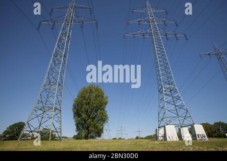 Albero sotto i tralicci di potenza molto alta nei prati del Reno a Leverkusen-Rheindorf, Renania settentrionale-Vestfalia, Germania Baum unter sehr hohen Stromgasten in Foto Stock