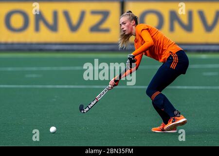 AMSTERDAM, PAESI BASSI - MAGGIO 11: Sanne Koolen ha visto il 11 maggio 2020 ad Amsterdam, Paesi Bassi, durante la sessione di formazione dell'hockeyteam femminile nazionale olandese. Foto Stock