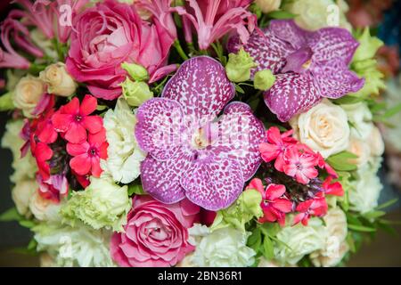 conosciuto come orchidee farfalla. Bel bouquet di fiori luminosi . Falaenopsis, falaenopsis o falah di fiori di orchidee porpora. Foto Stock