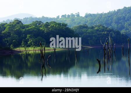 Lago Periyar a Thekkady, Kerala Foto Stock