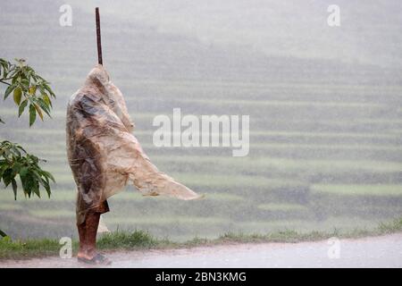 Uomo che si ripara sotto un sacchetto di plastica in forte pioggia. Madagascar. Foto Stock