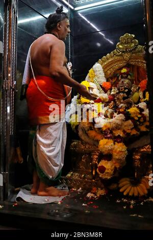 Court Hill Tempio di Ganesh. Prete indù che fa culto alla puja. Kuala Lumpur. Malesia. Foto Stock