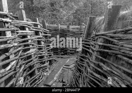 Un sistema di trincee e bunker dell'esercito tedesco utilizzato durante la prima guerra mondiale a Bayernwald (Bayern Wood) vicino a Ypres, Belgio. Foto Stock