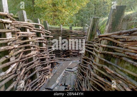 Un sistema di trincee e bunker dell'esercito tedesco utilizzato durante la prima guerra mondiale a Bayernwald (Bayern Wood) vicino a Ypres, Belgio. Foto Stock