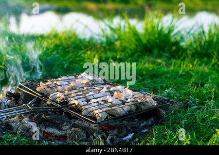 Carne alla griglia al palo. Picnic nella natura al tramonto. Il gusto dell'estate Foto Stock