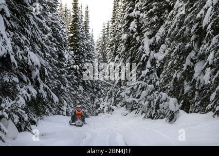 Escursioni turistiche in motoslitta nella neve, Sun Peaks Resort, Sun Peaks, British Columbia, Canada Foto Stock