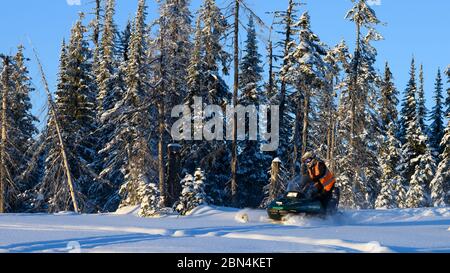 Uomo in motoslitta, Sun Peaks Resort, Sun Peaks, British Columbia, Canada Foto Stock