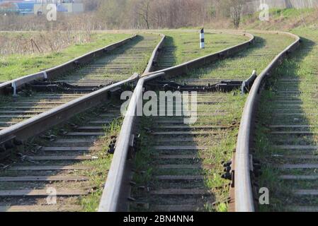 La ferrovia si estende in lontananza sullo sfondo di giovani verdi erba e alberi in primavera. Foto Stock