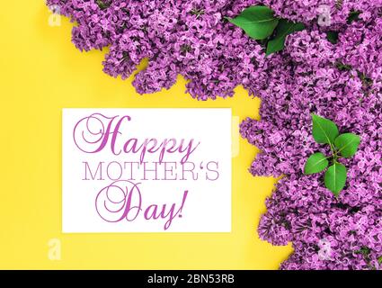Giornata delle buone madri. Fiori lilla su sfondo giallo Foto Stock