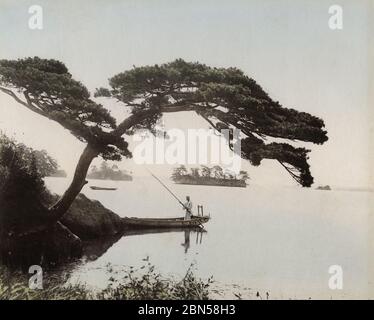 Boatman su un lago sotto un albero spazzante, Giappone Foto Stock